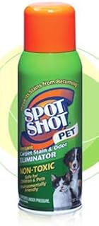 Spot Shot PET STAIN/ODOR RMVR 14OZ