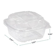 ECO PRODUCTS 6" / Clear / Green Products Cups