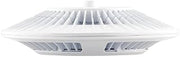 RAB Lighting PLED52NW Pendant 52W 4 X 13W Neutral LED with Clear Lens, White