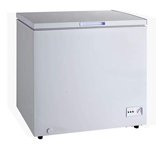Chest Freezer With Solid Flat Top by Omcan – White, Model 46502