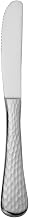 Libbey 9 3/4" Dinner Knife with 18/8 Stainless Grade, Aspire Pattern