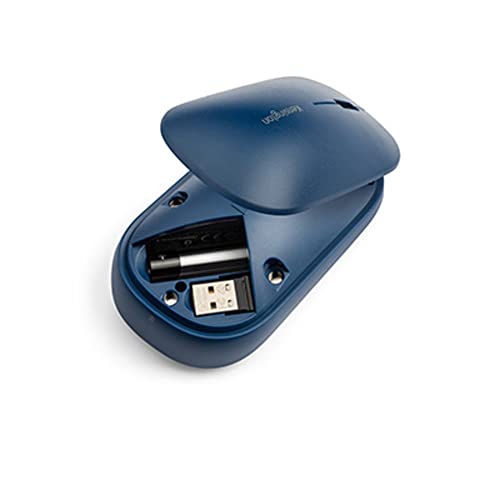 Kensington Blue / Modern / 1 Mice