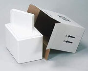 Thermosafe Thick-Walled Shipper, 19.25 x 12.4 x 12.25 in; 1/Pk