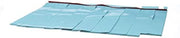 Insinger (INSNB) Exit Curtain 25-1/4 X 19
