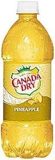Canada Dry Pineapple Soda 20 Oz (24 Pack)