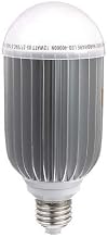 12W Warm White LED Hood Lamp | LED-40000W-B
