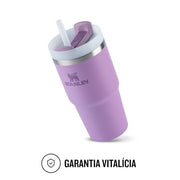 STANLEY Pool / 20 Ounces / Adult Tumblers & Water Glasses