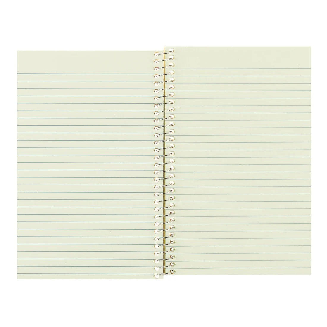 National 1 Subject Notebook - photo 3