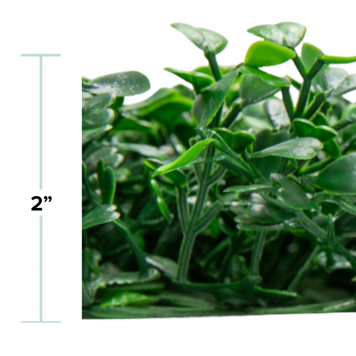 NatraHedge 1225-LG LDPE Plastic Panel, 40" x 120", Green - photo 3