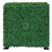 NatraHedge 1250-Boxwood Boxwood Hedge, 7.7 gal.