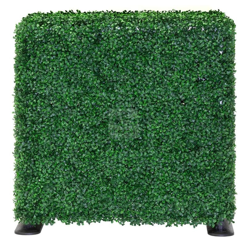 NatraHedge 1250-Boxwood Boxwood Hedge, 7.7 gal.