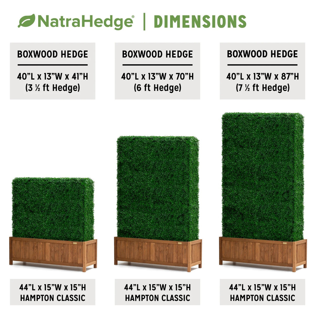 NatraHedge 1250-Boxwood Boxwood Hedge, 7.7 gal. - photo 4