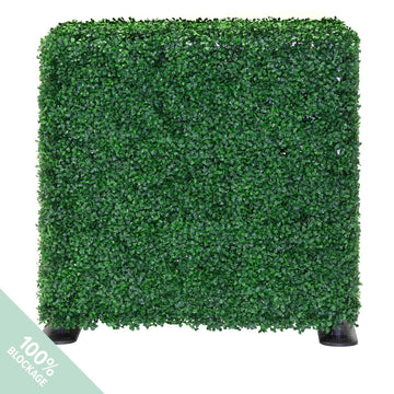 NatraHedge 1250-Boxwood Boxwood Hedge, 7.7 gal. - Beige Green