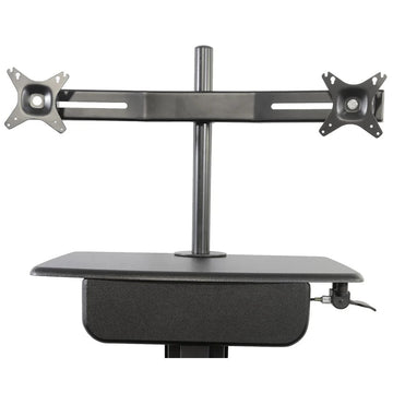 Kantek Arm, Black - 24" Dual