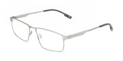Eyeglasses E 1164 040 Satin Silver 54mm by Flexon – 54/15/145, Plastic, Satin Silver, Model FLEXON E1164