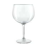 Arcoroc Single / 6 Unité (Lot de 1) / Clear Highball Glasses