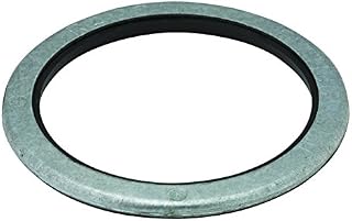 Hubbell-Raco Washer, Sealing, 2-Inch Trade Size, Steel & Neoprene, 2458 (Pack Of 50)
