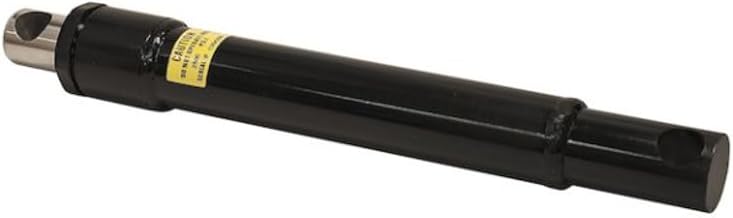 Buyers Products 1304700 Cylinder, Angle, 1-1/2 X 10In, Replaces Boss #HYD01603