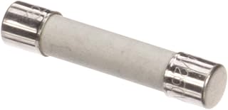 MERRYCHEF 30Z1445 UL Fuse 10 Amp