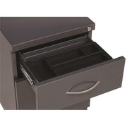 Hirsh Industries Charcoal / Modern / 21.75" H X 15.00" W X 19.88" D Mobile File Cabinets