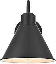 Colton One Light Outdoor Wall Sconce Black