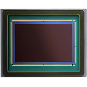 Canon w/ 24-70mm Lens / 1 Mirrorless Cameras