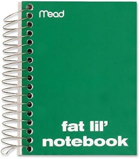 Mead Fat Lil' Notebook
