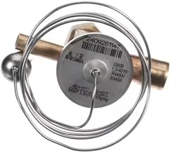 Fits Stoelting 2409261147 Expansion Valve/TXV Kit