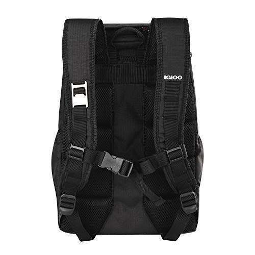 Igloo Black 30-Can / 30 Can / 12.0 ounces Coolers