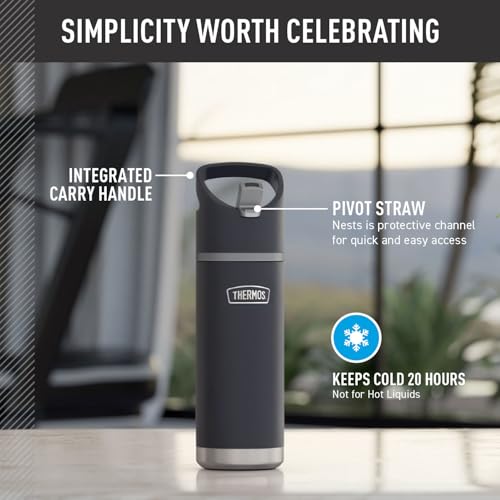 THERMOS 20 Ounces / Granite / 20.0 fluid_ounces Thermoses