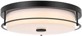 Kolson 16" Led Flush Mount in Black