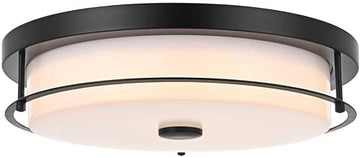 Kolson 16" Led Flush Mount in Black