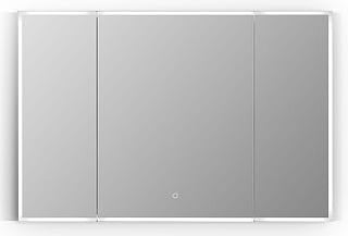 Carsoli 48" Clear Glass Surface-Mount/Recessed LED Mirror Medicine Cabinet