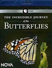 NOVA: The Incredible Journey of the Butterflies [Blu-ray]