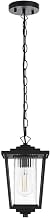 Elegant Lighting York 7" Outdoor Pendant in Black
