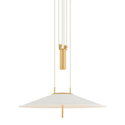 Emmons 1-Light Pendant | Essential & Modern Style | Aged Brass Finish | Made of Aluminum & Diffuser | Adjustable Hang Height 27-116" | 30" Dia x 6.75" H | -AGB/SWH by Hudson