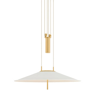 Emmons 1-Light Pendant | Essential & Modern Style | Aged Brass Finish | Made of Aluminum & Diffuser | Adjustable Hang Height 27-116" | 30" Dia x 6.75" H | -AGB/SWH by Hudson