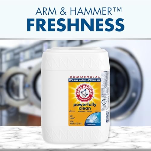 ARM & HAMMER 640 Fl Oz (Pack of 1) / Clean Burst / Blue Liquid Detergent