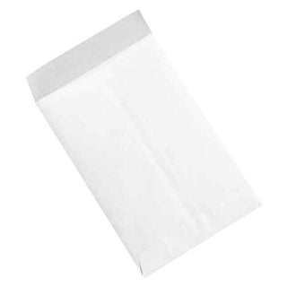 6 x 9" Flat Envelopes by Ship-Lite – One Size, Blend, White, Pack of 100, Model SLF0609WH