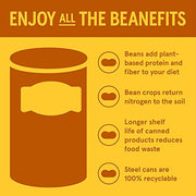 Bush's Best Onion / 28 Ounce (Pack of 24) / 24 Baked Beans