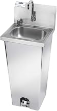 Hand Sink, Pedestal Mount, 15.75''W, Gooseneck Faucet