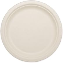 100% Compostable Plates by World Centric, Made from Ubleached Plant Fiber, 9" Plates (Pack of 1000)