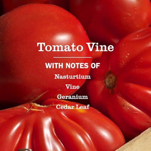 Mrs. MEYER'S Tomato Vine + Dandelion + Fresh Cut Grass / 12.5 Fl Oz (Pack of 1) / 1 All-Purpose Cleaners