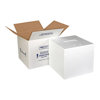 Foam Cooler by Polar Tech – Foam, Multicolor, Model 249C