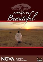 A Walk To Beautiful - NOVA