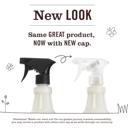 Mrs. MEYER'S Basil / 16 Fl Oz (Pack of 1) / Standard Packaging All-Purpose Cleaners