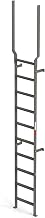 EGA VMS10EX Steel Vertical Wall Mount Ladder W/Rail Extensions, 10 Step, Gray