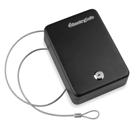 SentrySafe Black / 0.05 cubic feet / Key Lock Security Lock Boxes