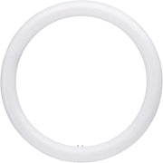 Satco 32W Equivalent 12 in. CCT-Selectable T9 Circline LED Tube Light Bulb - 1 Each