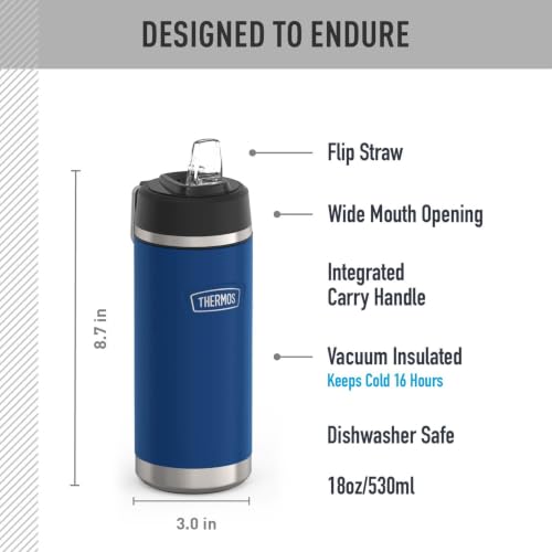 THERMOS 18 Ounces / Navy / Straw Thermoses